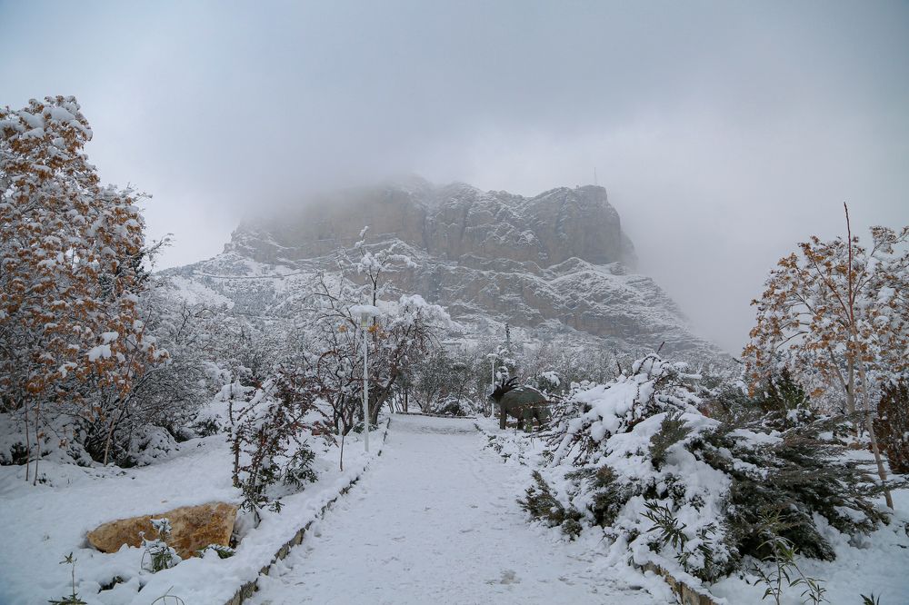 Photograph by Mohammadreza Majlesifar