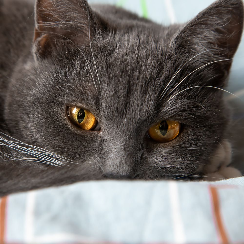 Photograph by Крышен Сергей