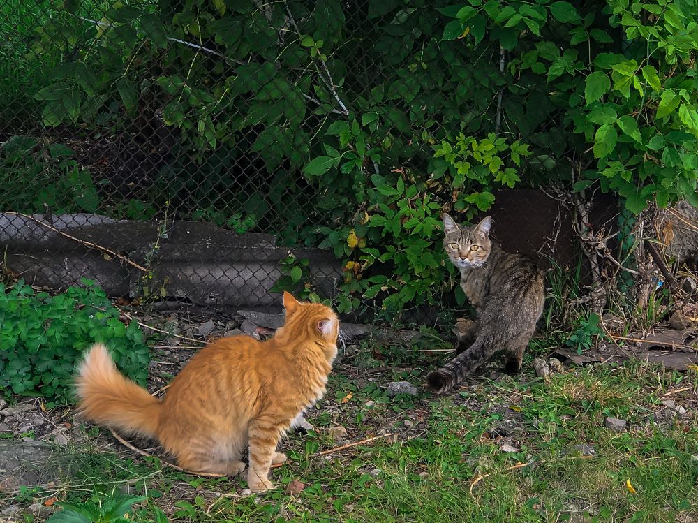 Photograph by Елена Сиушова