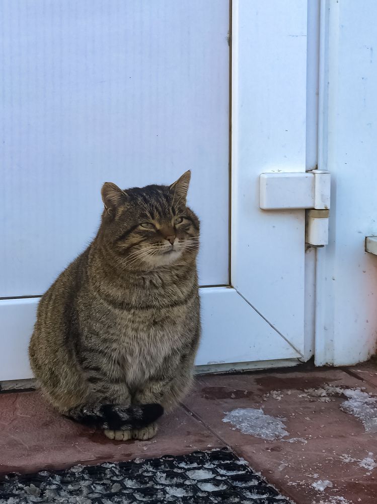 Photograph by Елена Сиушова