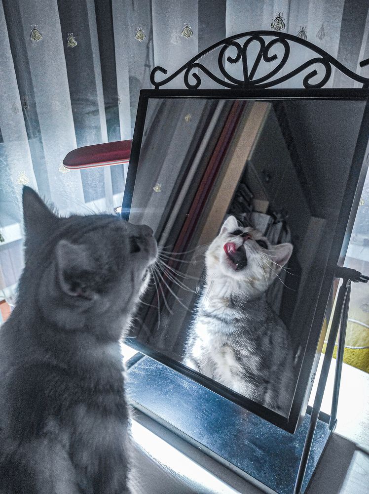 Photograph by Кирилл