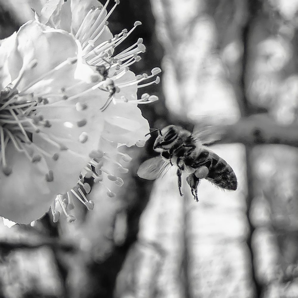 Photograph by Kate Maximenko