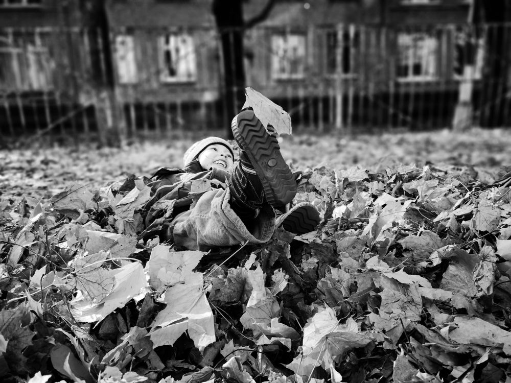 Photograph by Kate Maximenko