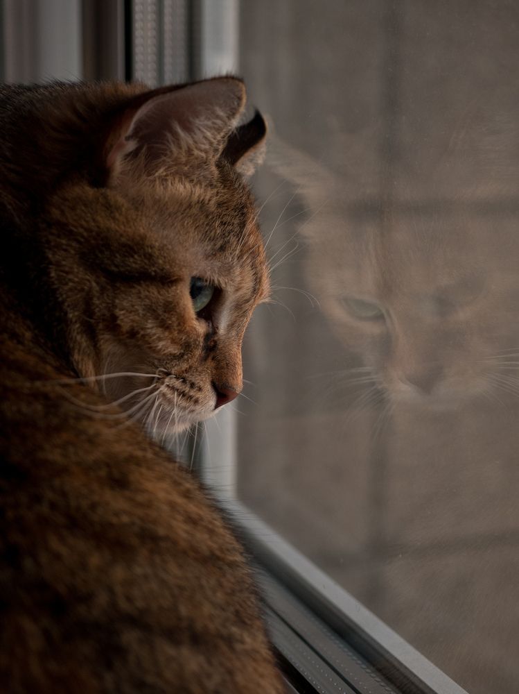 Photograph by Анна Шейко