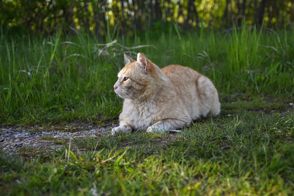 Photograph by Дмитрий Петров