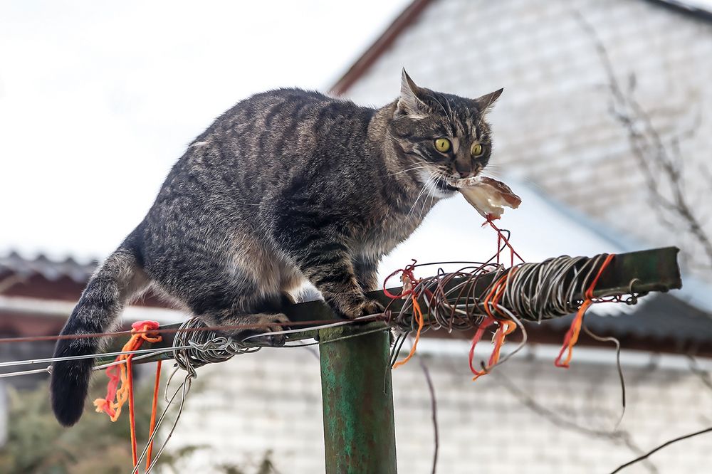 Photograph by Крышен Сергей