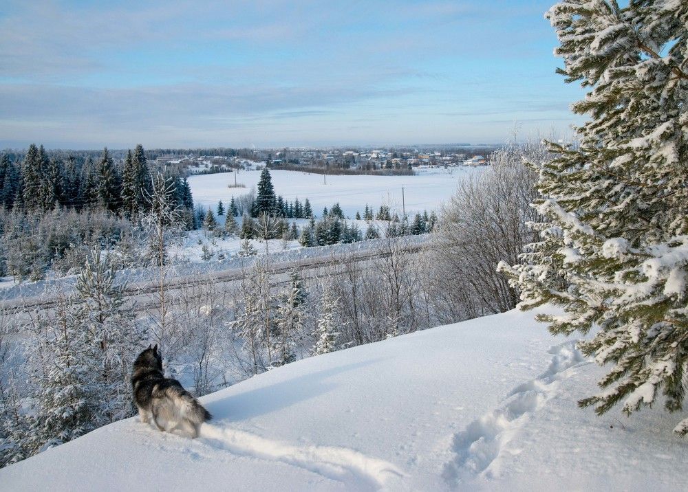 Photograph by Мария Краева