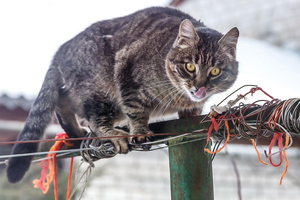 Photograph by Крышен Сергей