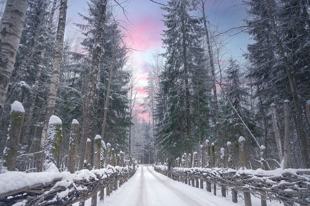 Photograph by Наталья Суслова