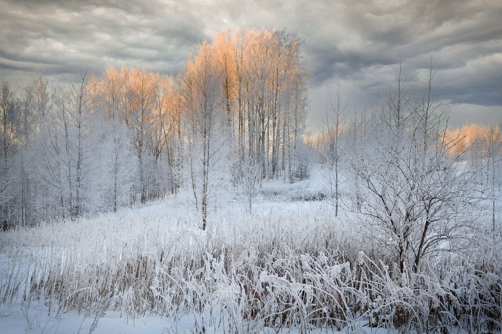 Photograph by Наталья Суслова