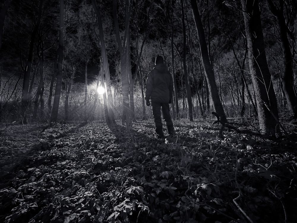 Photograph by Kate Maximenko