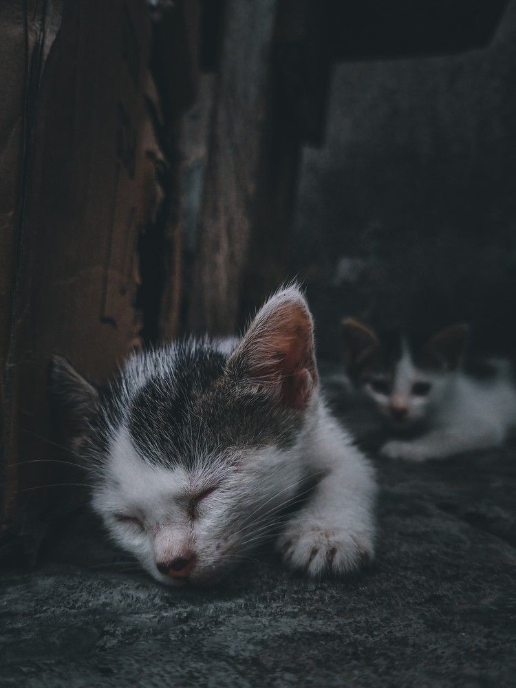 Photograph by Favour Chukwu