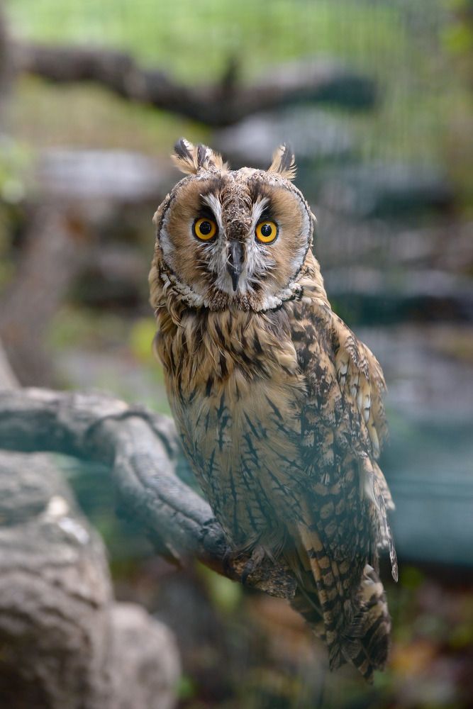 Photograph by Эдуард Шадров