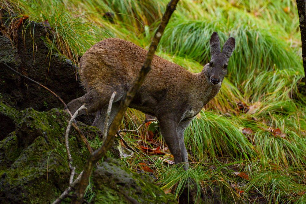 Photograph by Эдуард Шадров