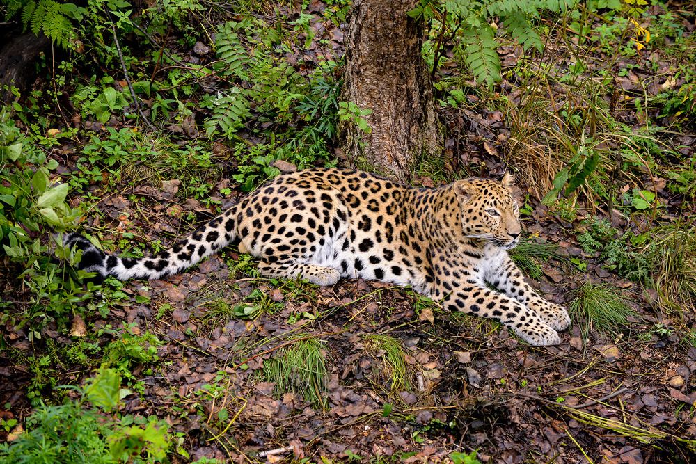 Photograph by Эдуард Шадров