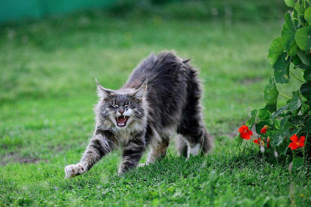 Photograph by Аркадий Ишимов