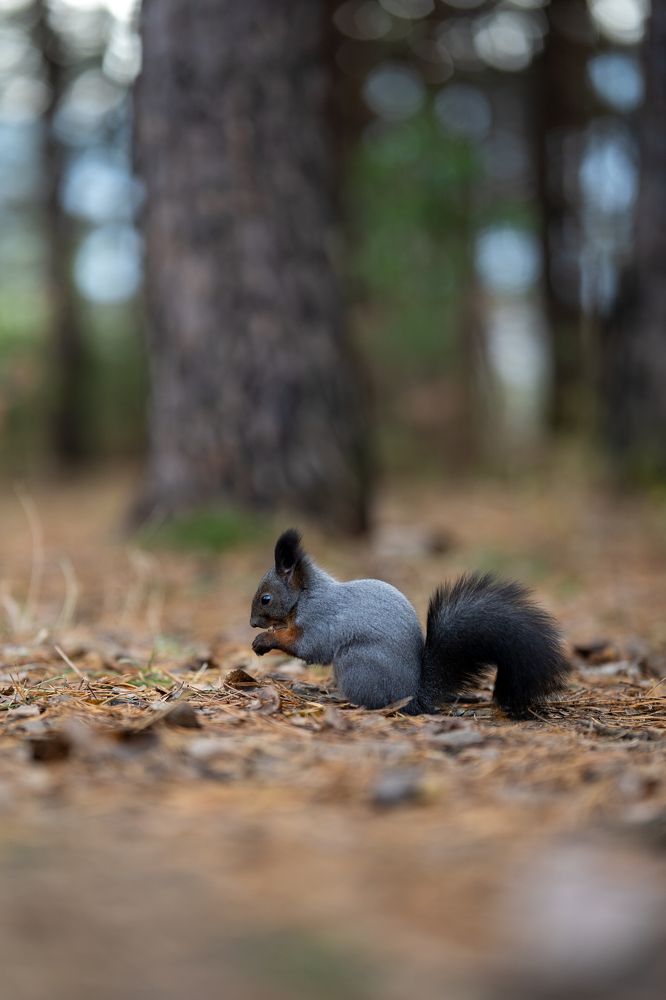 Photograph by Георгий Бычковский