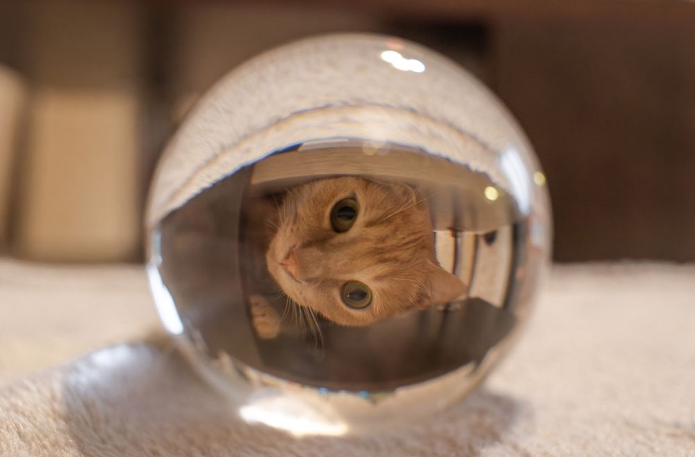 Фотография автора Alexander Pakhomov