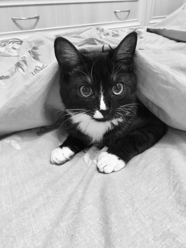 Photograph by Елена Макуха