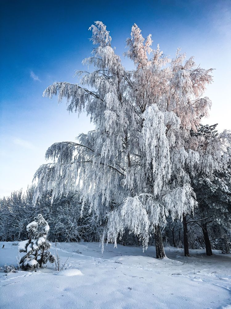 Photograph by Žaneta Bytautiene