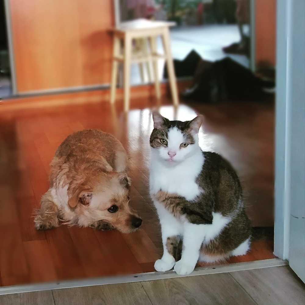 Photograph by Владимир Воложинский