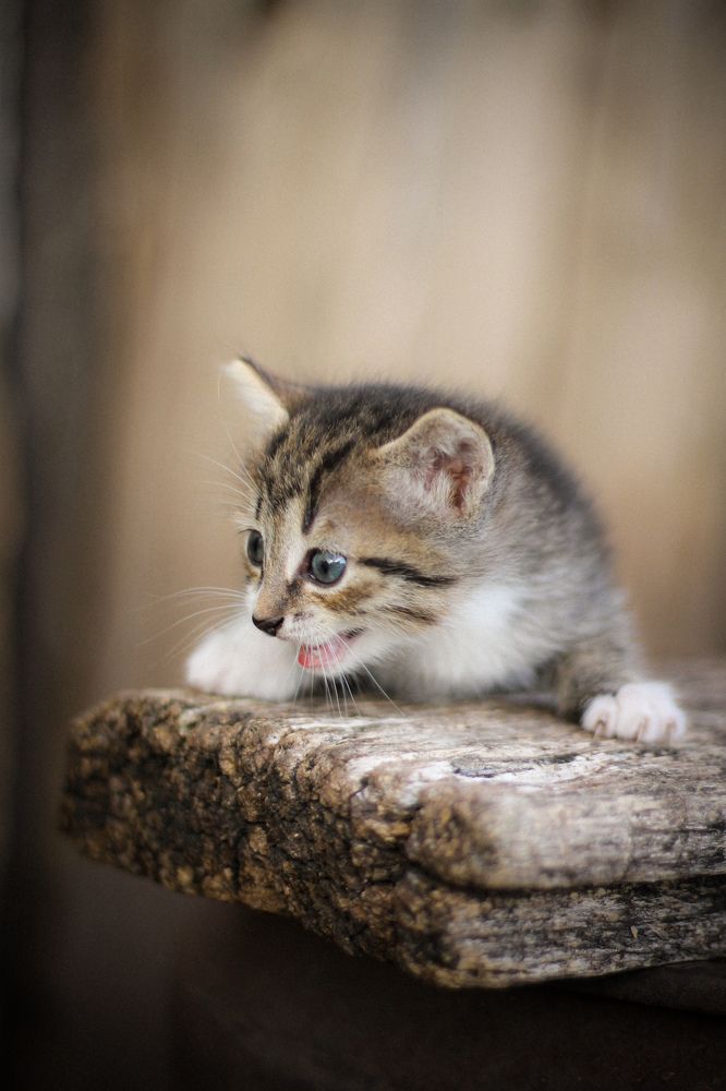 Photograph by Ольга