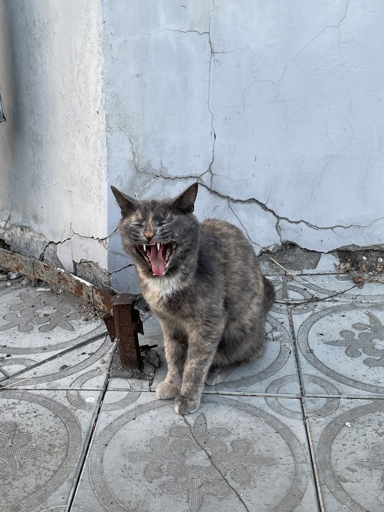 Photograph by Оксана Рачилова