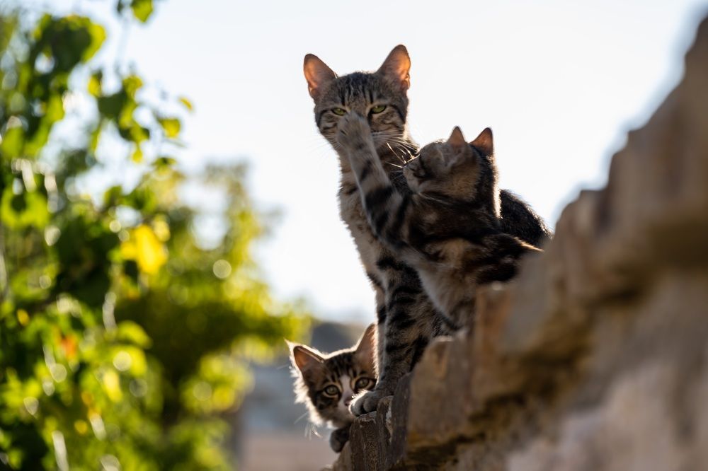 Photograph by Наталья Пирогова