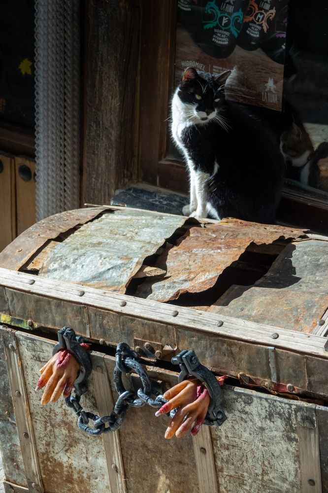 Photograph by Наталья Пирогова