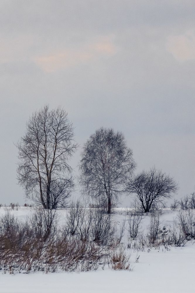 Photograph by Николай Головко