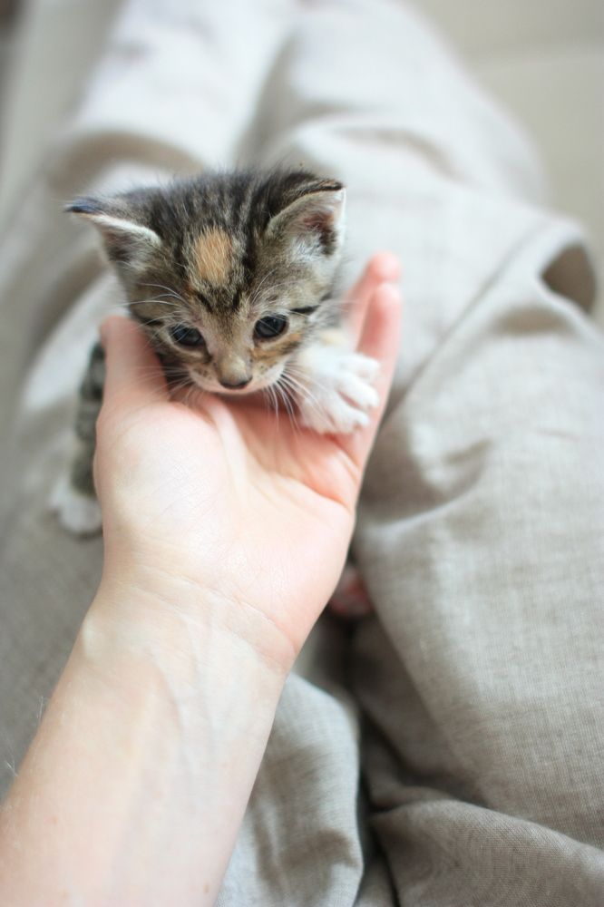 Photograph by Елена Сторожева