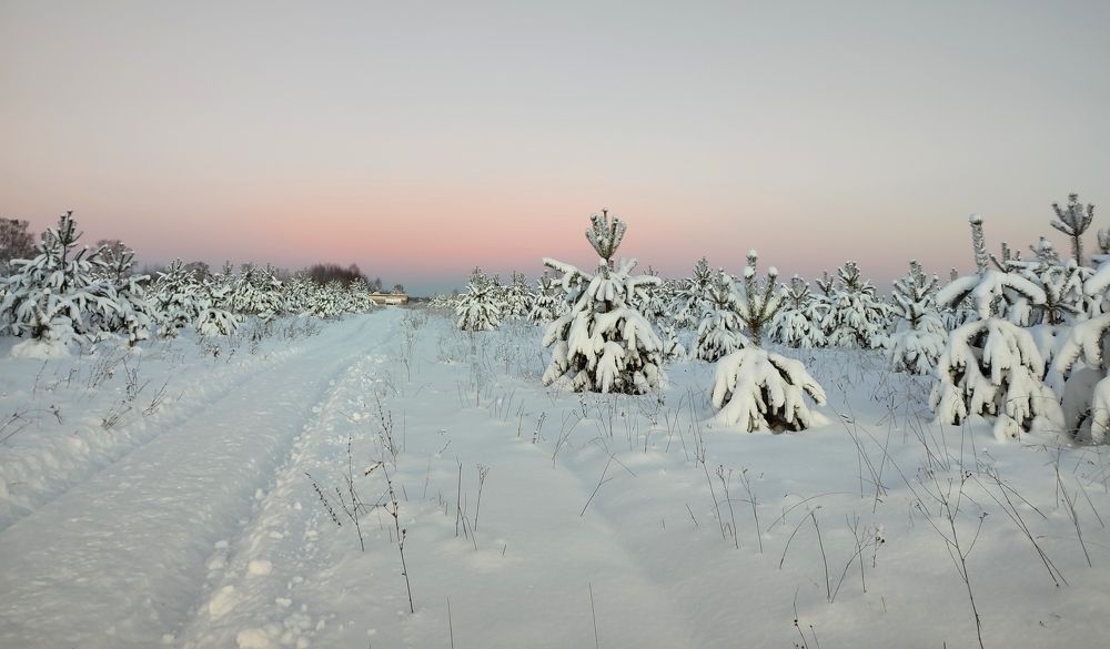 Photograph by Алёна Пшеленская