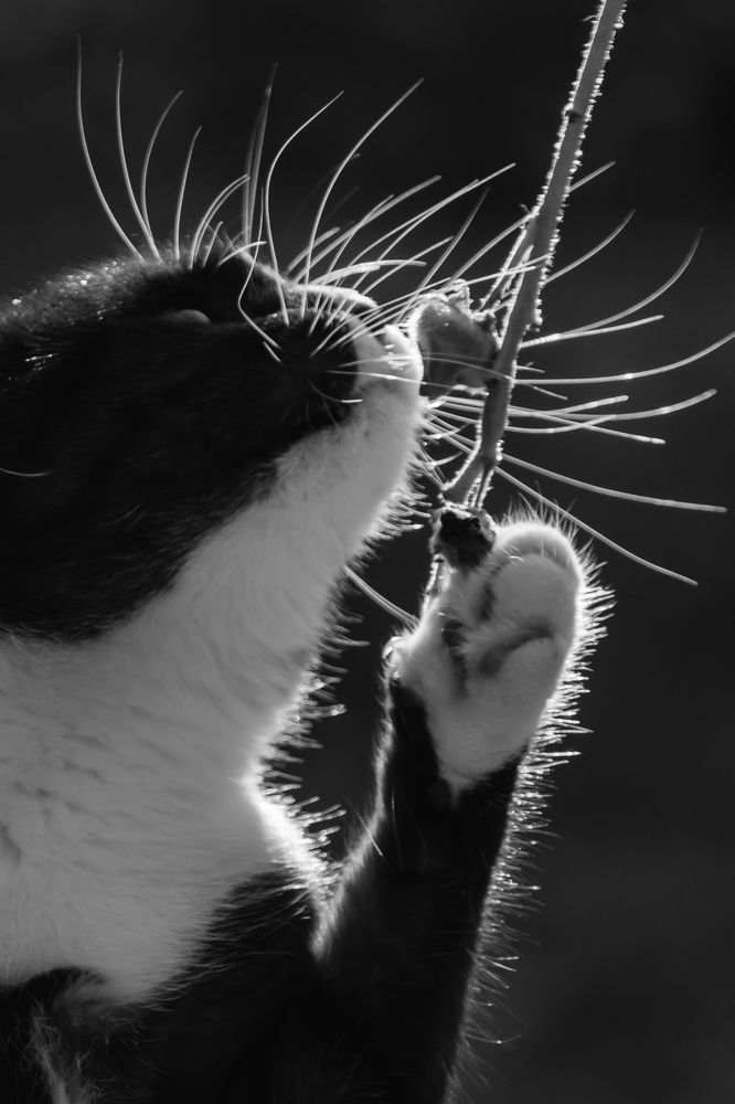 Photograph by Мария Тёмкина