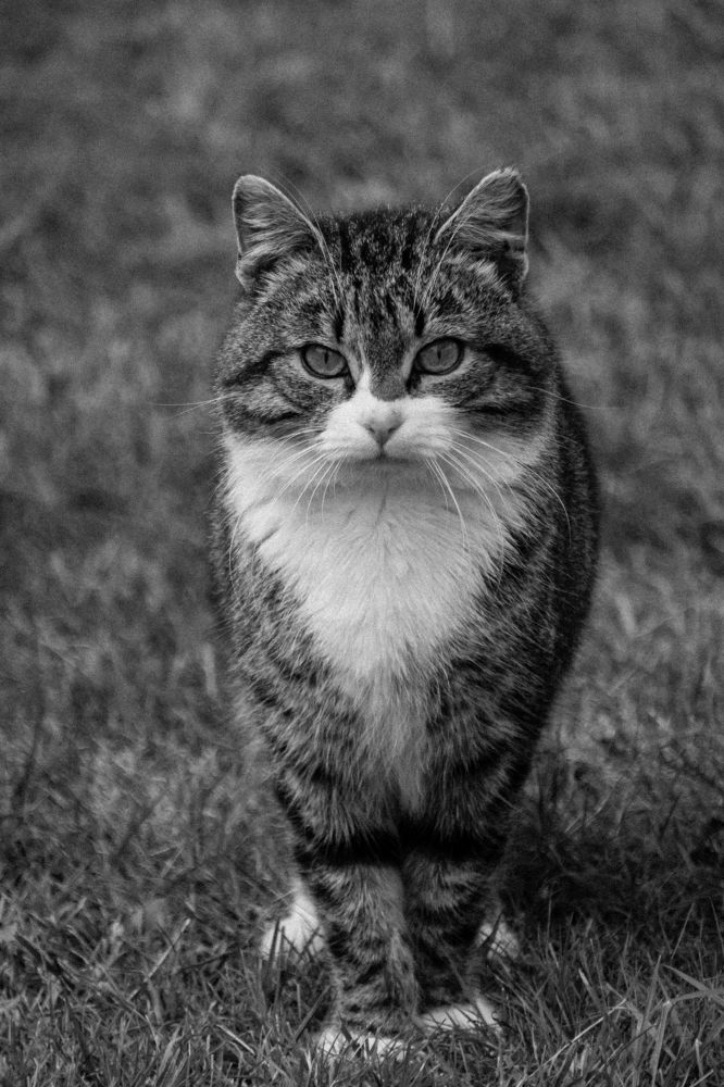 Photograph by Мария Тёмкина