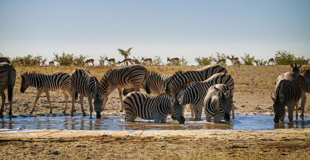 Photograph by Ivanka Iantcheva