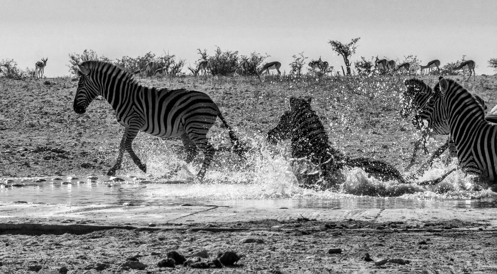 Photograph by Ivanka Iantcheva