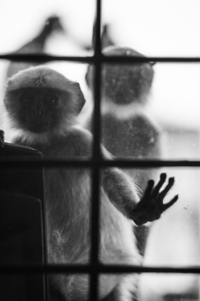 Photograph by Денис Решетников