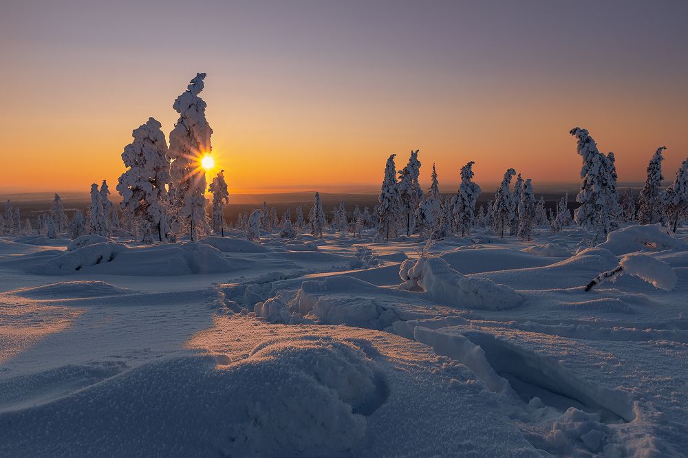 Photograph by Зарышнюк Роман