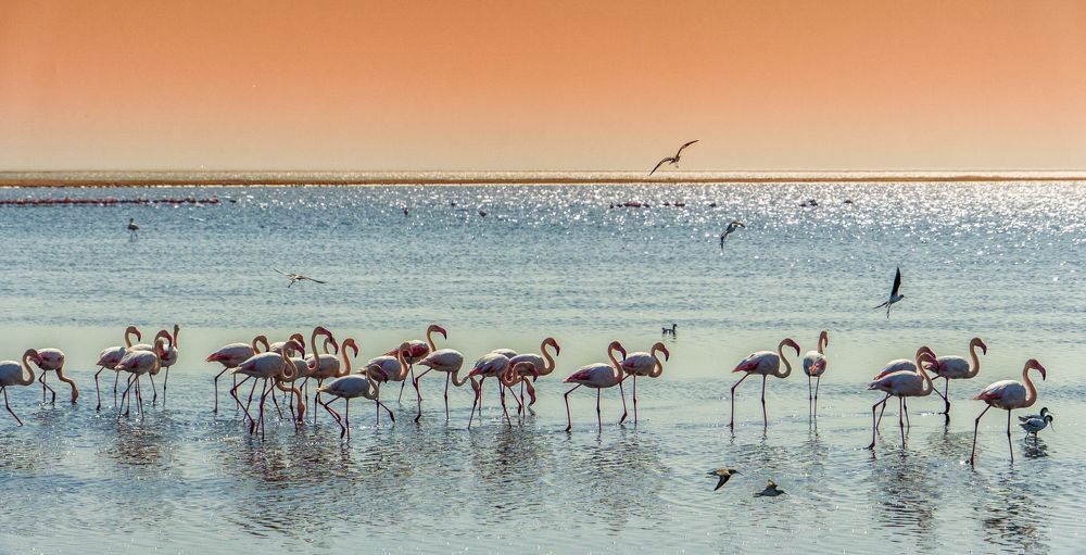 Photograph by Ivanka Iantcheva