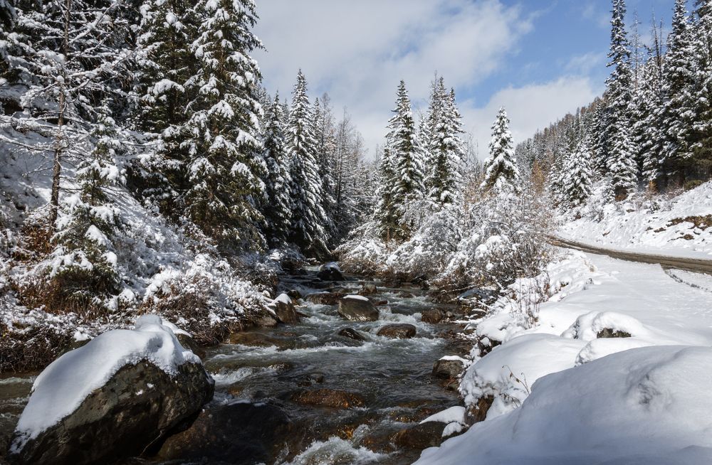 Photograph by Олег Безбородов