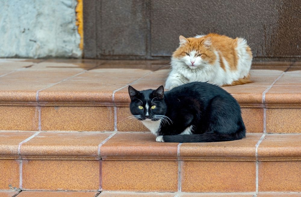 Photograph by Valery Kleymenov