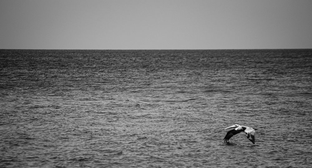 Photograph by Milton Sosa Mc Donald