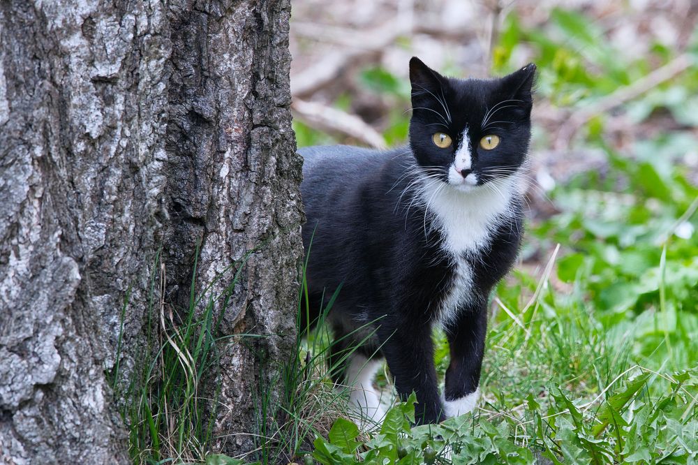 Photograph by Jānis Sērdienis