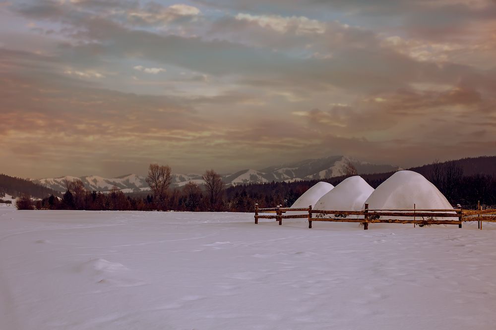 Photograph by Мила Смирнова