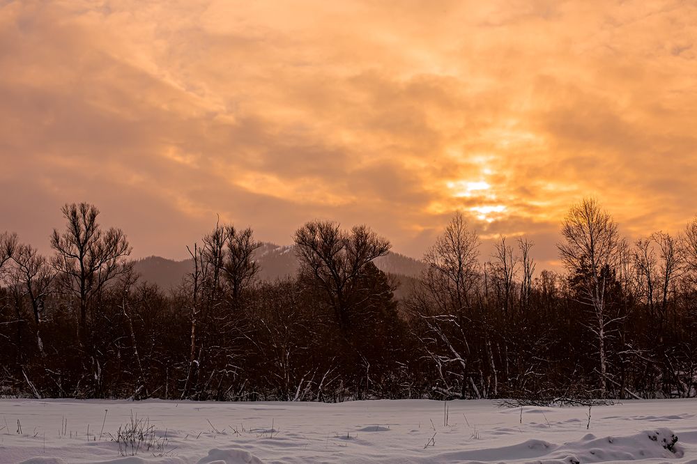 Photograph by Мила Смирнова