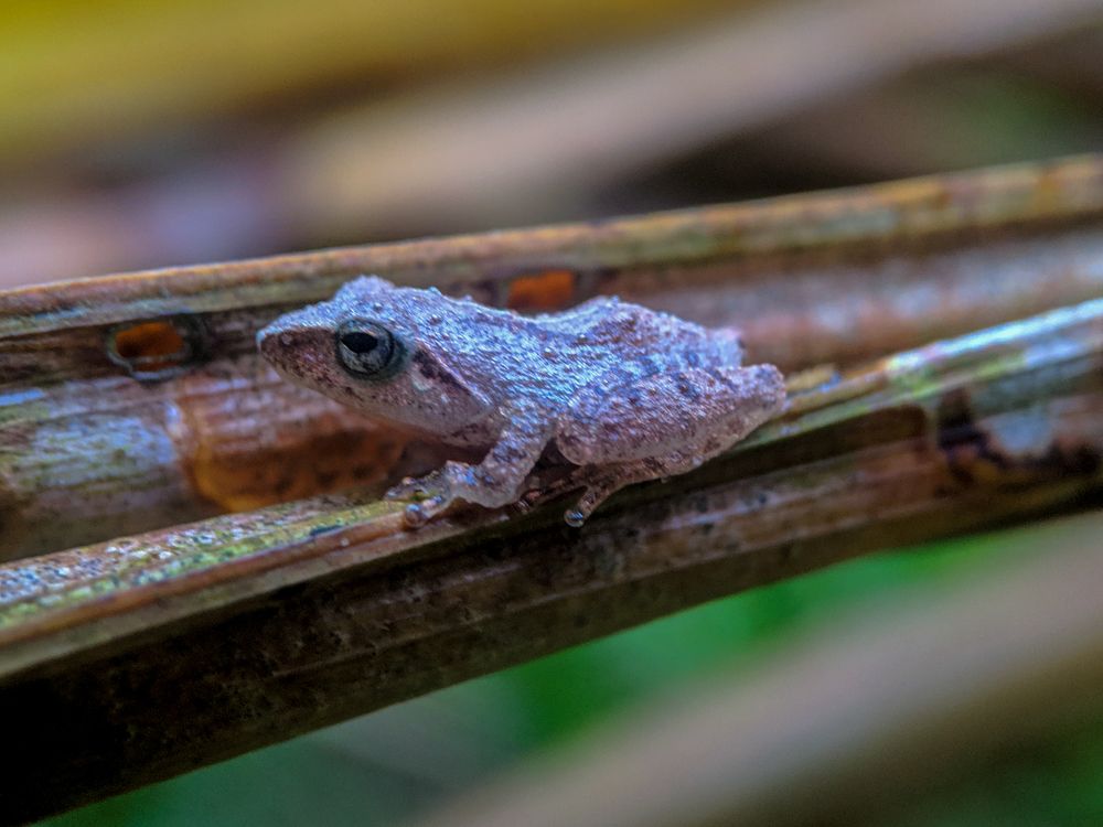 Photograph by sandhya kudli