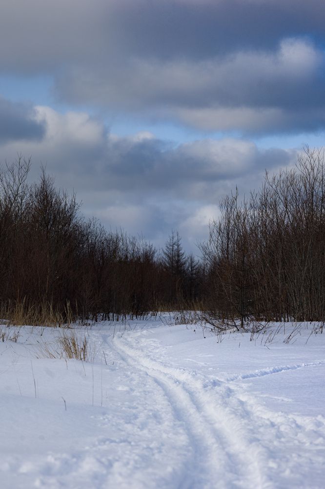 Photograph by Тамара Аржанова