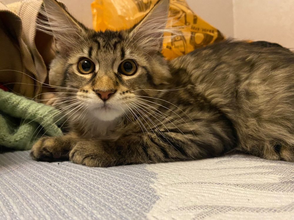 Photograph by Сергей Зиньковский