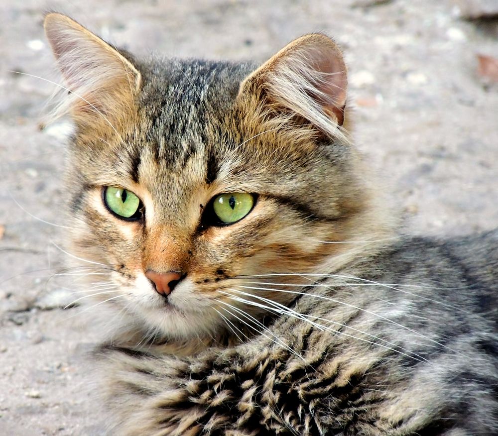 Photograph by Савоцкий Роман