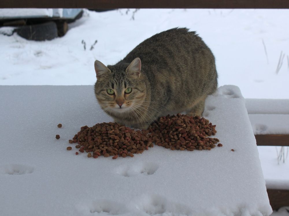 Photograph by Olga Bagaeva